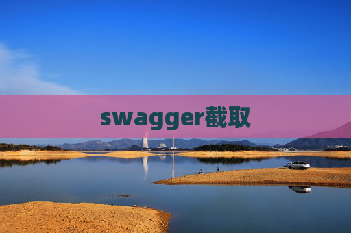 swagger截取